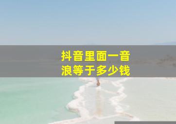 抖音里面一音浪等于多少钱