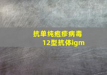 抗单纯疱疹病毒12型抗体igm