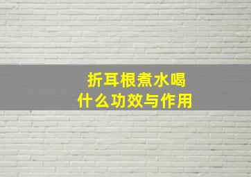 折耳根煮水喝什么功效与作用