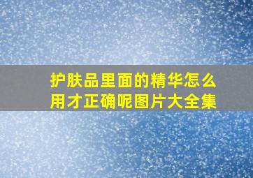 护肤品里面的精华怎么用才正确呢图片大全集