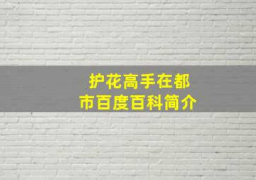 护花高手在都市百度百科简介