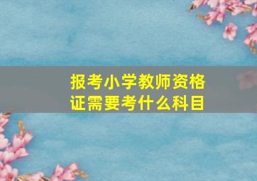 报考小学教师资格证需要考什么科目