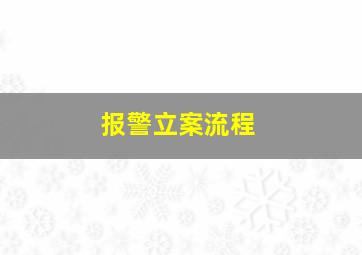 报警立案流程