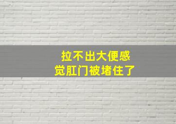 拉不出大便感觉肛门被堵住了