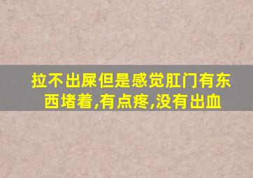 拉不出屎但是感觉肛门有东西堵着,有点疼,没有出血