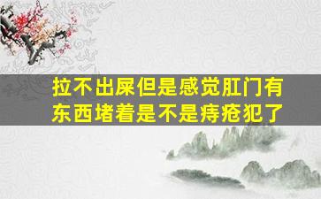 拉不出屎但是感觉肛门有东西堵着是不是痔疮犯了