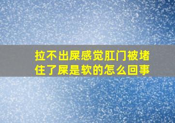 拉不出屎感觉肛门被堵住了屎是软的怎么回事