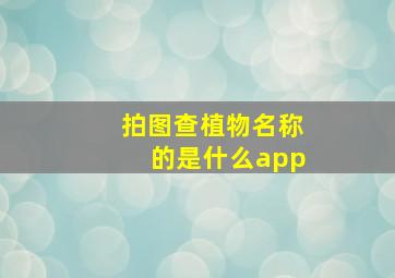 拍图查植物名称的是什么app