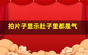 拍片子显示肚子里都是气