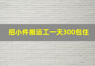 招小件搬运工一天300包住