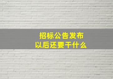 招标公告发布以后还要干什么