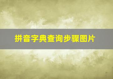 拼音字典查询步骤图片