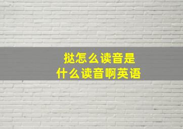 挞怎么读音是什么读音啊英语