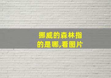 挪威的森林指的是哪,看图片