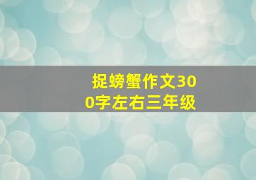 捉螃蟹作文300字左右三年级