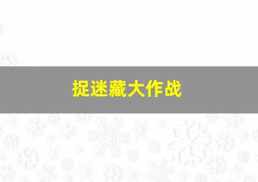 捉迷藏大作战