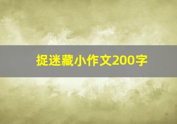 捉迷藏小作文200字