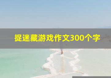 捉迷藏游戏作文300个字