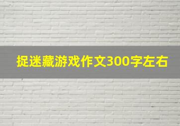 捉迷藏游戏作文300字左右