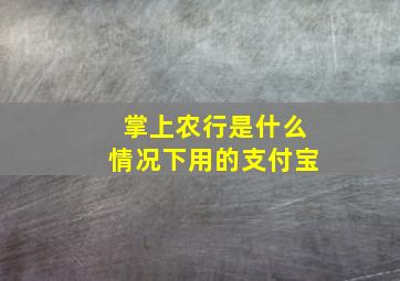 掌上农行是什么情况下用的支付宝