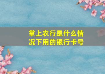 掌上农行是什么情况下用的银行卡号