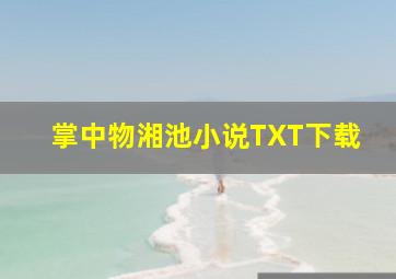 掌中物湘池小说TXT下载