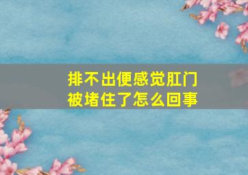 排不出便感觉肛门被堵住了怎么回事