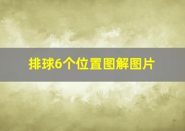 排球6个位置图解图片