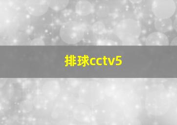 排球cctv5