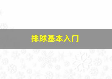 排球基本入门