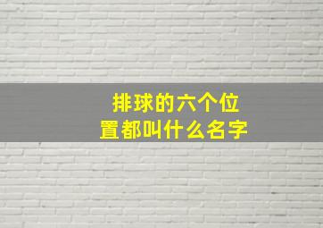 排球的六个位置都叫什么名字