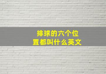 排球的六个位置都叫什么英文