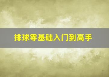 排球零基础入门到高手