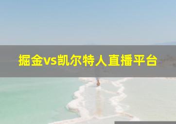 掘金vs凯尔特人直播平台