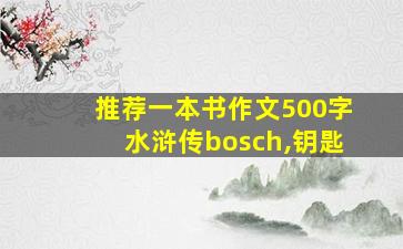 推荐一本书作文500字水浒传bosch,钥匙