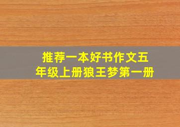 推荐一本好书作文五年级上册狼王梦第一册