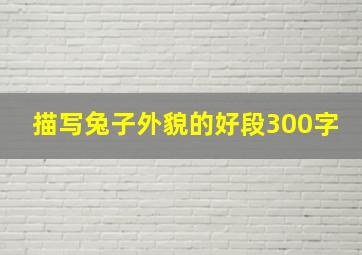 描写兔子外貌的好段300字