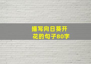 描写向日葵开花的句子80字