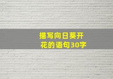 描写向日葵开花的语句30字