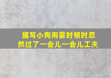 描写小狗用霎时顿时忽然过了一会儿一会儿工夫