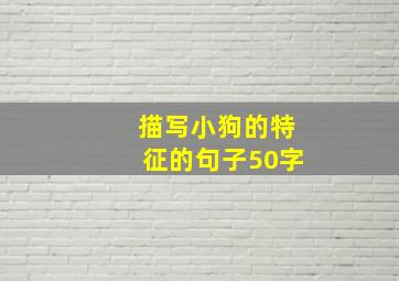 描写小狗的特征的句子50字