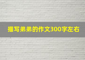 描写弟弟的作文300字左右