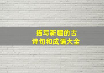 描写新疆的古诗句和成语大全