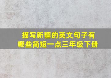 描写新疆的英文句子有哪些简短一点三年级下册