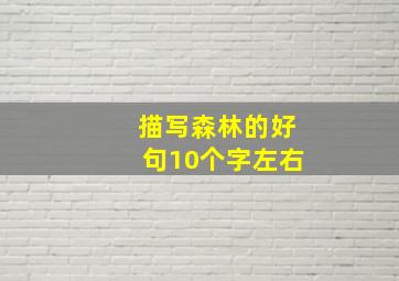 描写森林的好句10个字左右