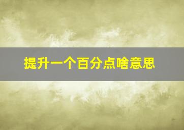 提升一个百分点啥意思