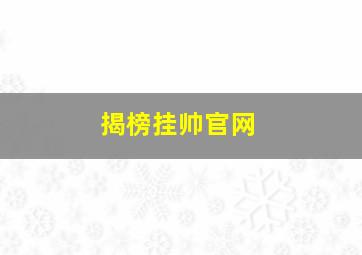 揭榜挂帅官网