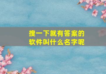 搜一下就有答案的软件叫什么名字呢