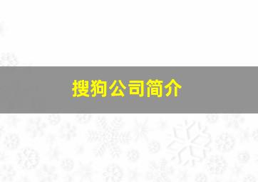 搜狗公司简介