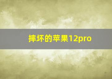 摔坏的苹果12pro